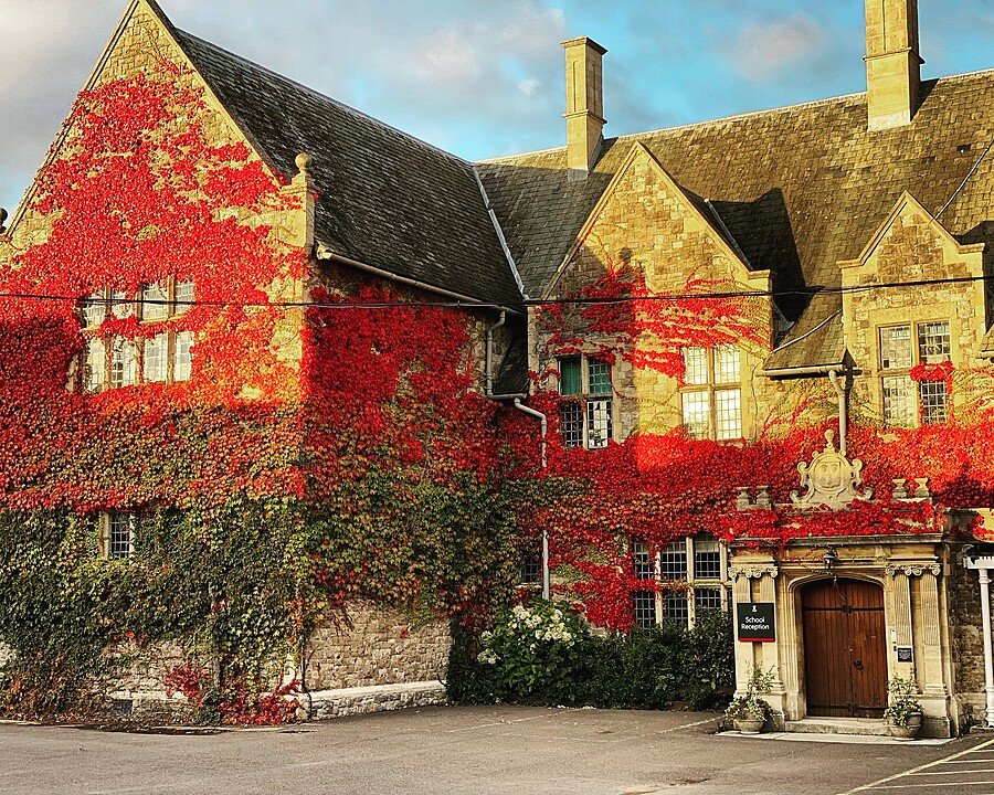 Historic stone school building partly covered in vibrant red and green ivy, with large windows and an ornate entrance doorway illuminated by golden evening light.