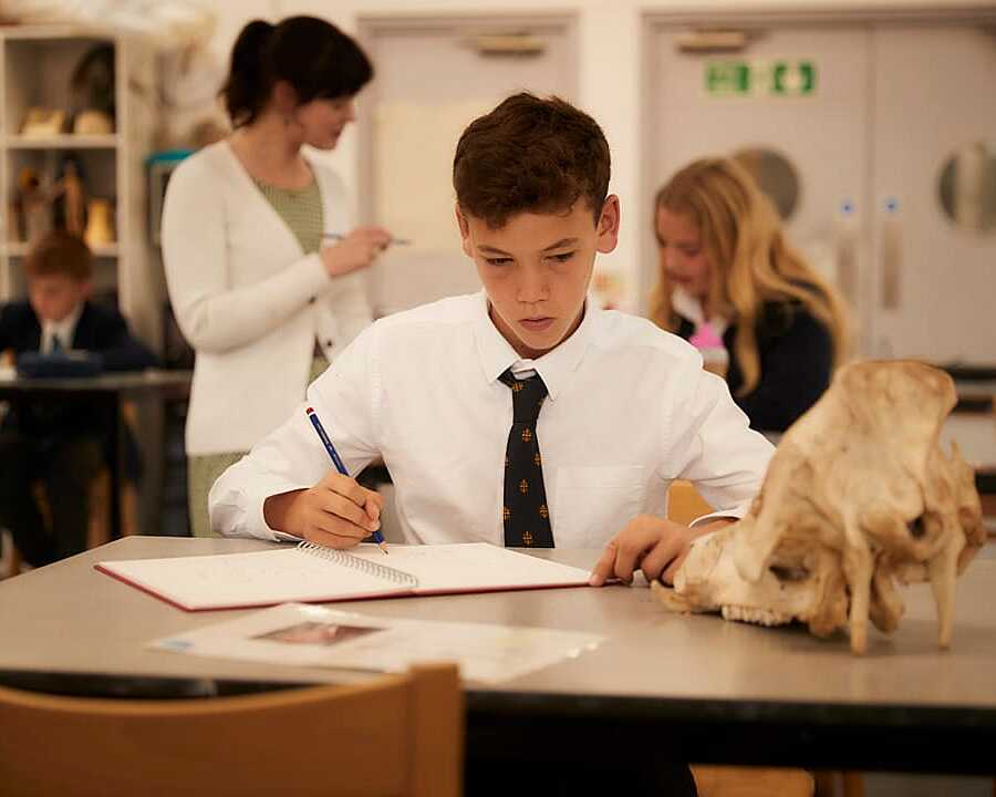 a student in shirt and tie doing a drawing of an animal scull at the arts department