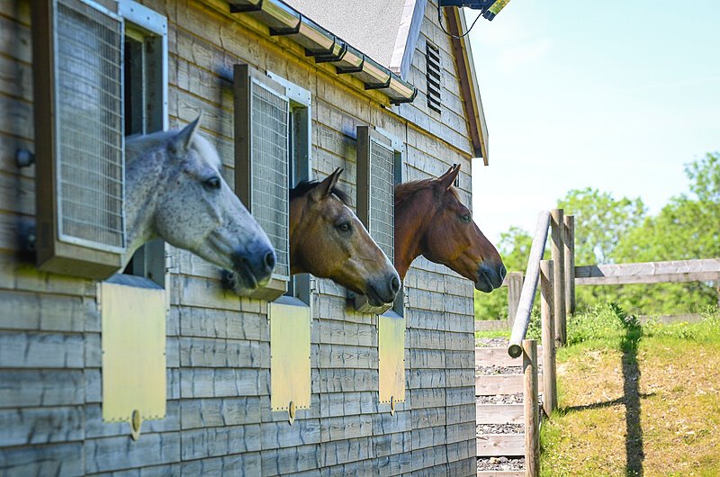 3 Stables on site