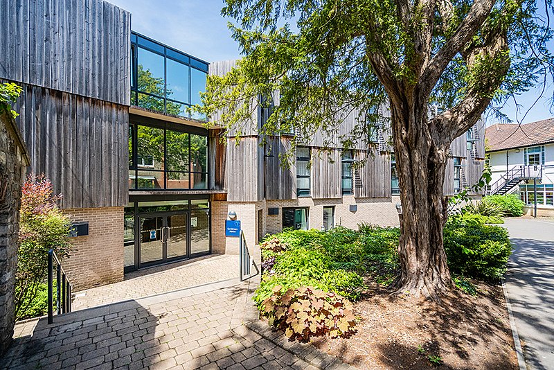 Modern house with long windows and wood cladding, in front of it is a tree