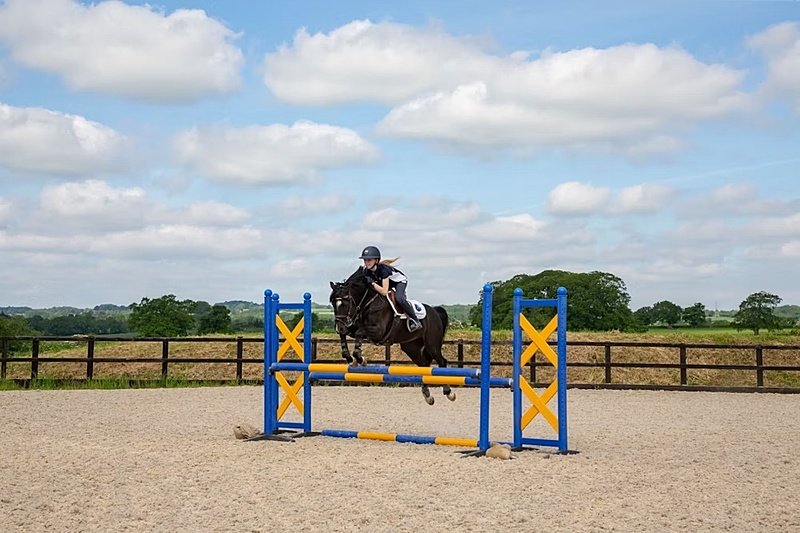 A horse with its rider jumping over bars
