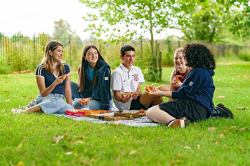 five students having a picnic on a picnic blanket eating snacks