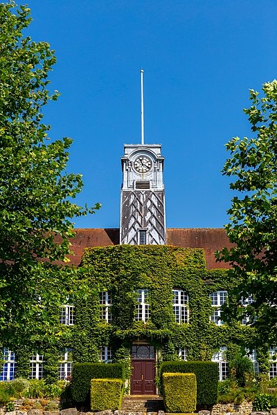 A clock tower covered in green ivy with neatly trimmed hedges and trees surrounding it under a clear blue sky.